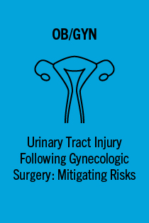 TDE 221138.0 Urinary Tract Injury Following Gynecologic Surgery: Mitigating Risks (The Doctor